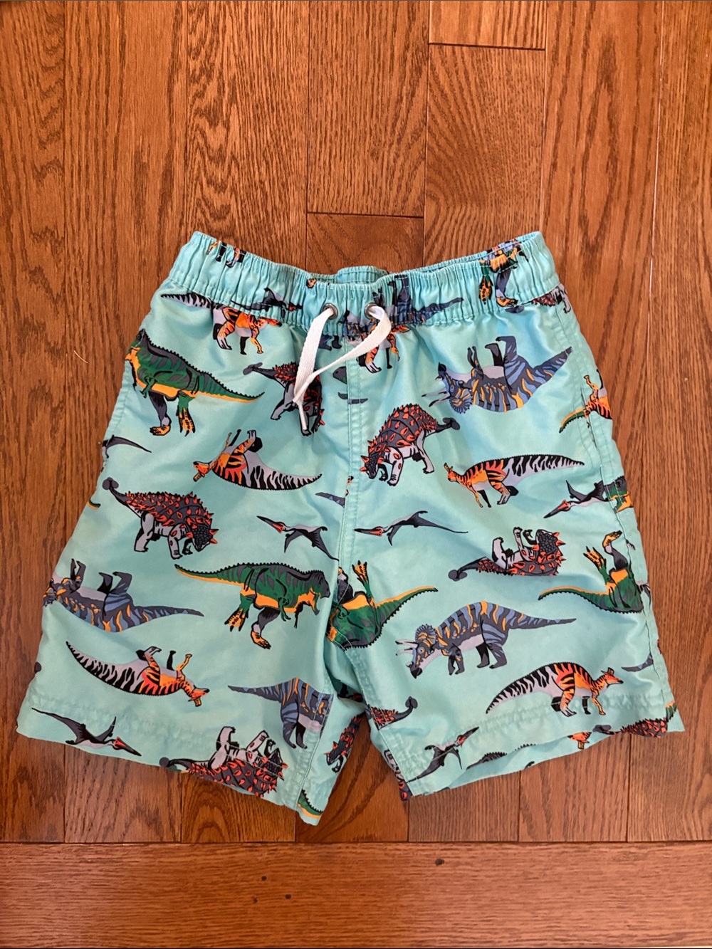 Hanna Andersson Mint Dinosaur Swim Shorts Like New 8/130